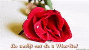 Mothers Day Mother GIF by echilibrultau