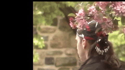 GIF by Jerry Tremblay