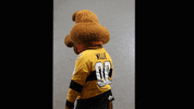 BdnWheatKings kings brandon willie wheat GIF