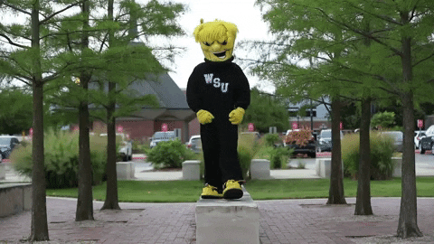 Wu_Shock giphyupload wsu wu wushock GIF