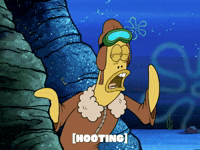 season 5 GIF by SpongeBob SquarePants