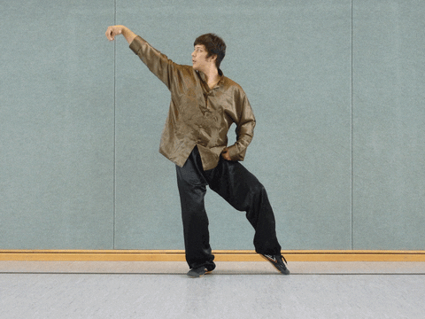 redtigerclub giphyupload martial arts relaxing alignment GIF