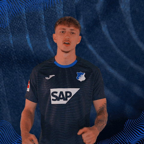 Sport Bundesliga GIF by TSG Hoffenheim