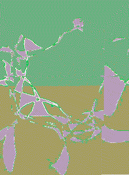 GIF by Leo Pyrata
