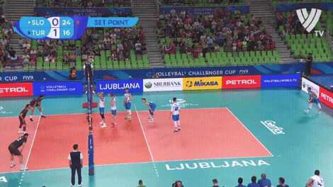 Happy Celebration GIF by Volleyball World