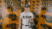 Baseball Bison GIF by NDSU Athletics