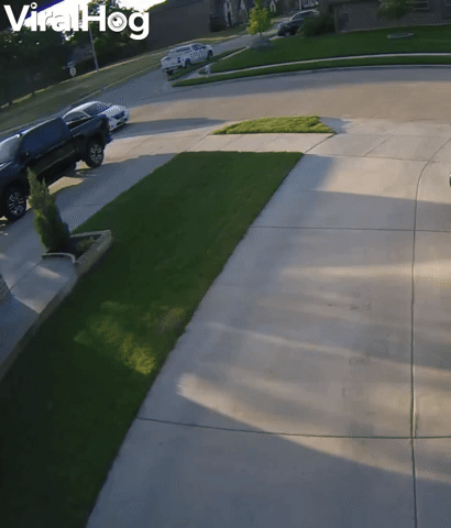 Mustang Won't Stay in Stable