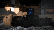 marvel bunny GIF by Zackary Rabbit