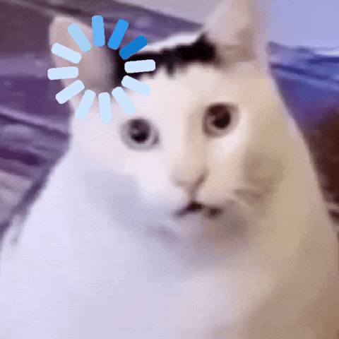 Cats Cute Cat GIF