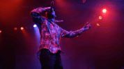 performance GIF by robstone
