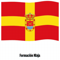 Comunidad De Madrid Bandera GIF by Formación Ninja
