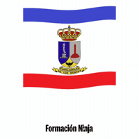 Bandera GIF by Formación Ninja