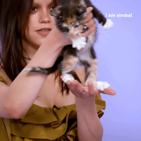 I Am Simba!