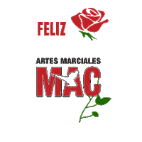 Rosa Diadelarosa Sticker by Artes marciales MAC