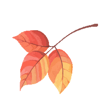 Leaf Green Fall Sticker by vetconcept