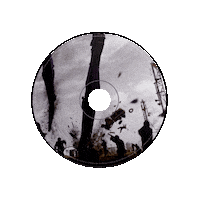 War Drake Sticker