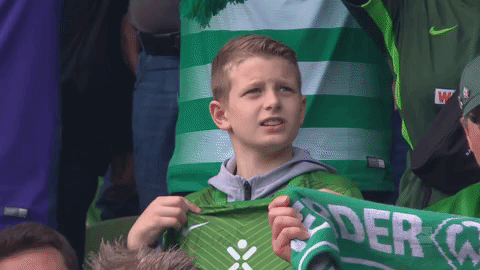 werderbremen GIF