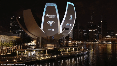 marina bay sands night GIF by Earth Hour