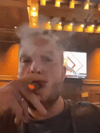 Oregon Ducks Cigar GIF