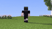Burberry GIF by Minecraft