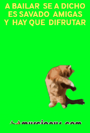 A Bailar Amigos GIF by Murcianys LLC
