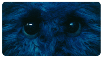 Subtract I Still See You GIF by Ed Sheeran