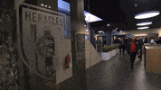 GIF by FOX Sports