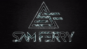 samferrymusic dj deejay djane djmag GIF