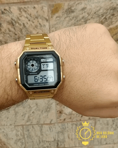 MeuRelogiodeLuxo giphygifmaker GIF