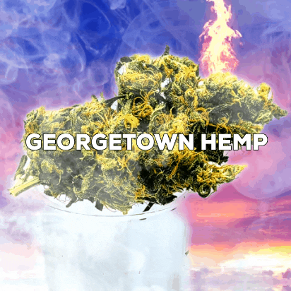 Georgetownhemp giphygifmaker giphygifmakermobile GIF
