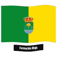 Castilla Y Leon Flag Sticker by Formación Ninja