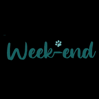 doggyplace weekend week-end doggyplace dog week-end GIF