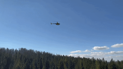 zzmysl giphyupload GIF