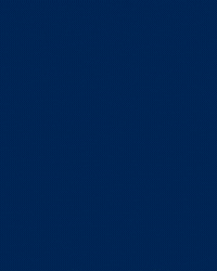 Football Soccer GIF by FC Zürich
