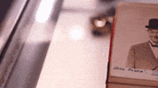 historyuk pawnstars GIF