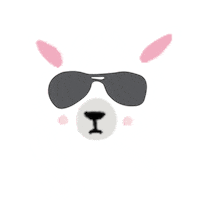 Say What New Zealand Sticker by Nodspark