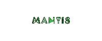 MantisDubai mantis boujee lavish mantisdubai Sticker