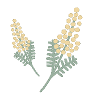Flower 花 Sticker