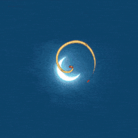 Chinese New Year Good Luck GIF by IWC Schaffhausen