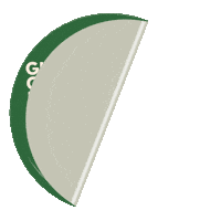 Music Festival Alok Sticker by Global Citizen