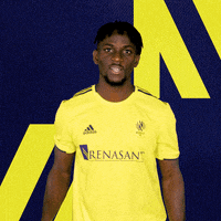 Goal Celebration Loba GIF by Nashville SC