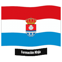 Flag Spain Sticker by Formación Ninja