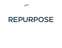Rein Graphics Sticker by Pump and Crunch