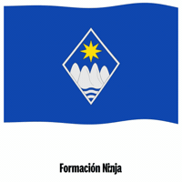 Flag Spain GIF by Formación Ninja