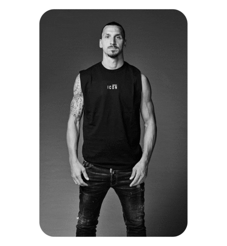 Icon D2 Sticker by DSQUARED2