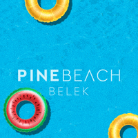 PineBeachBelek summer blue holiday sea GIF