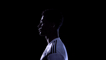 dfb-teams germany dfb gnabry diemannschaft GIF