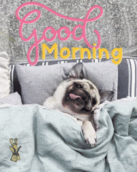 Tired Good Morning GIF