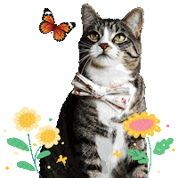 Happy Butterfly Sticker