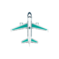 ProTaggedapp travel tech flying startup Sticker